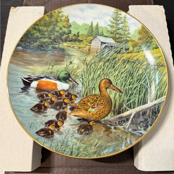 Vintage The northern Shoveler decorative Plate with Duck Family - Picture 1 of 4
